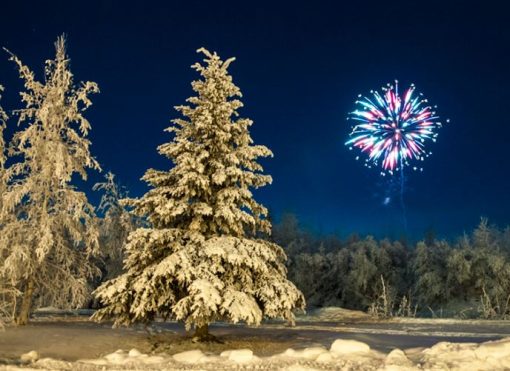 Taylor Winterfest Fireworks @ Heritage Park - Sheridan Open Air Pavilion | Taylor | Michigan | United States